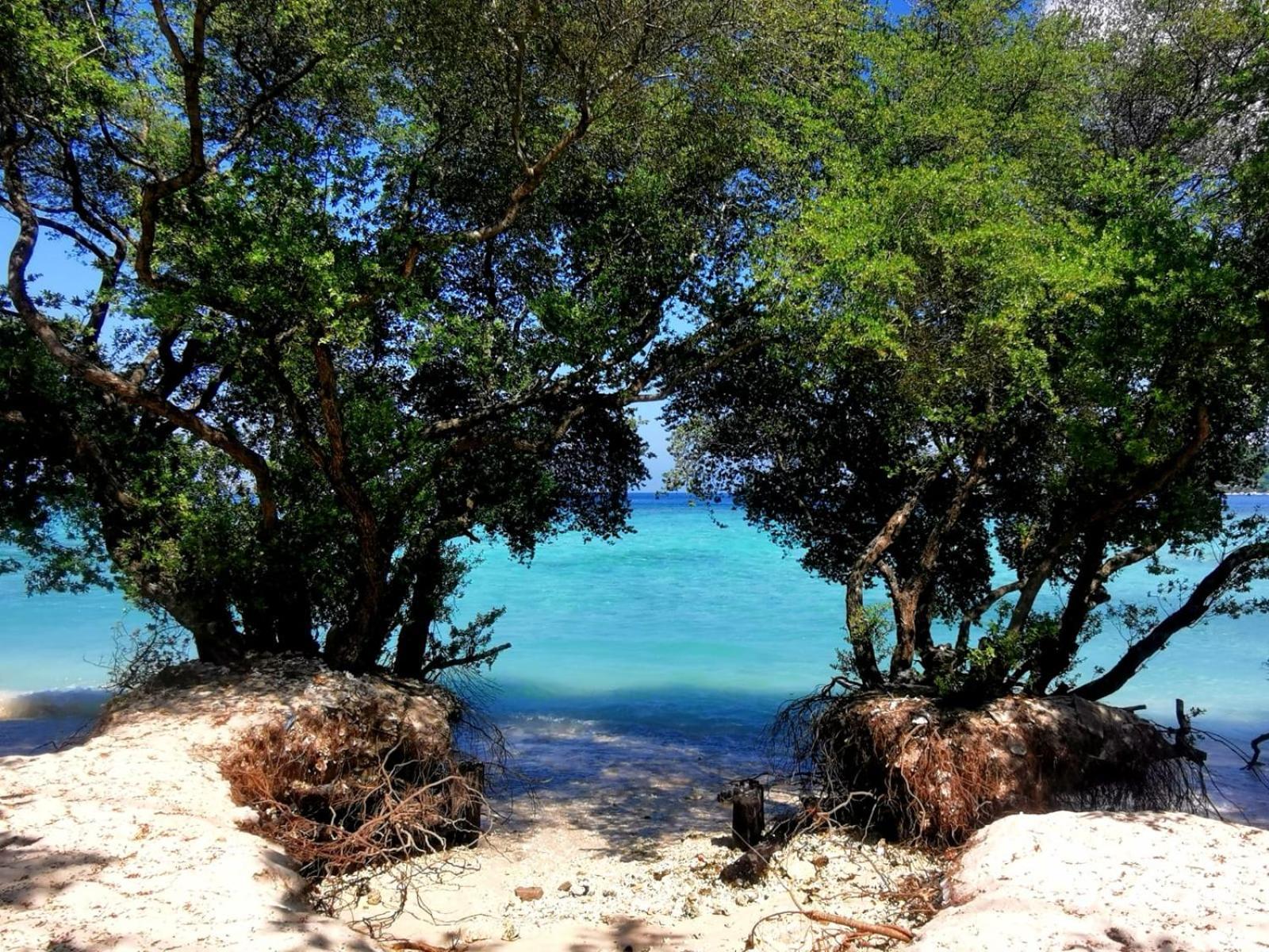 Villa Exotic House Gili Meno Exterior foto